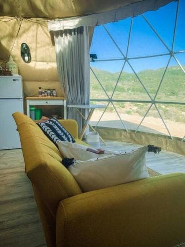 Sage Desert Dreams