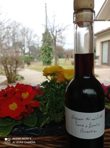 B&B I Sassetti