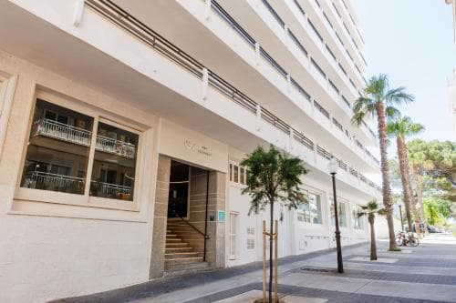 A serene urban street lined with palm trees and modern white buildings offers a tranquil atmosphere ideal for leisurely strolls or city exploration.
