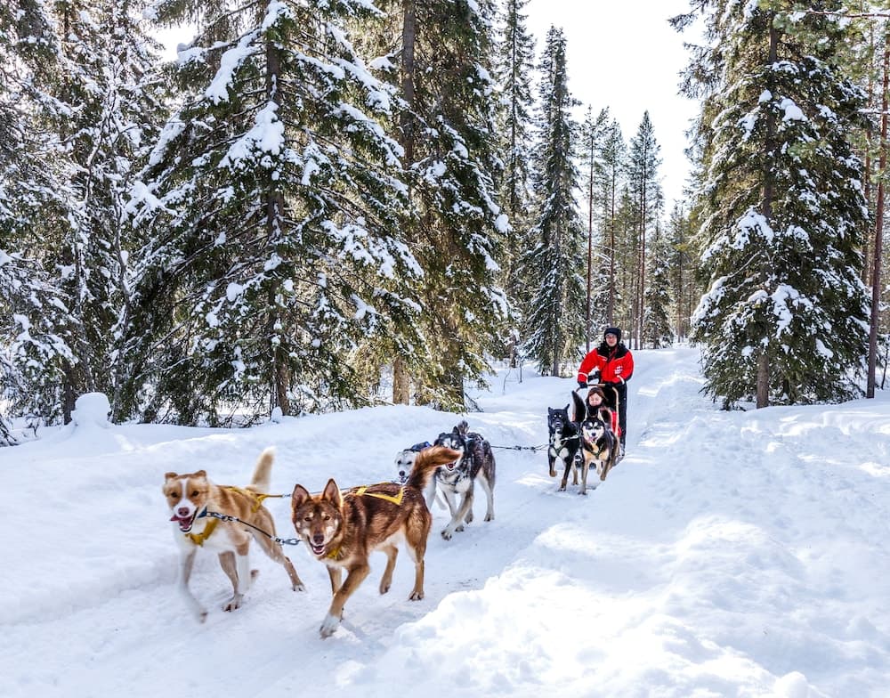 Lapland Hotels Bear s Lodge