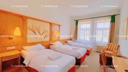 Branik Hotel