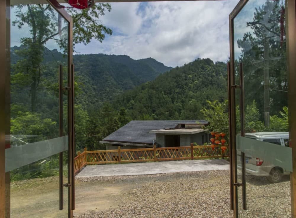 Canopy Tree House