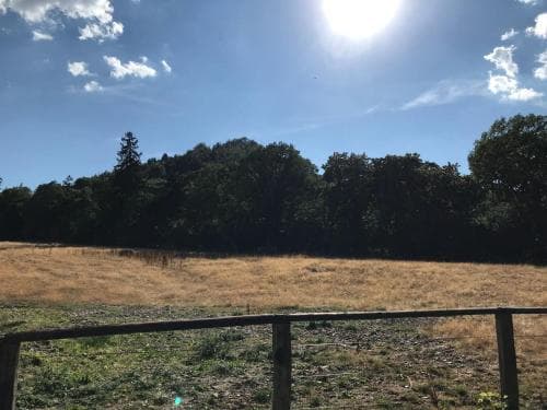 Ferienwohnungen am Elfenstein