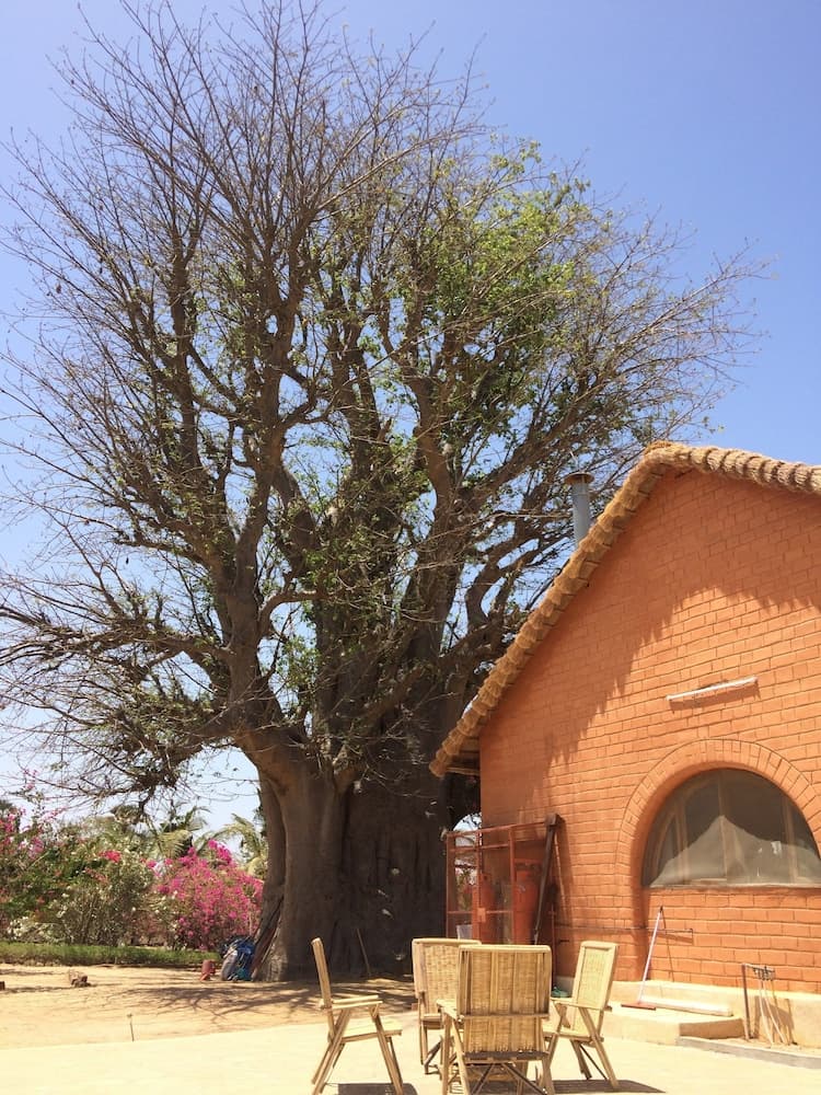 Baobab Lodge