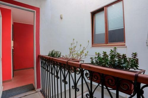 Le Suite sul Corso
