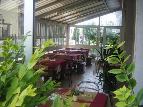 A cozy indoor-outdoor café with vibrant greenery, red tablecloths, and natural light filtering through large windows creates an inviting atmosphere perfect for travelers seeking a relaxing dining experience.
