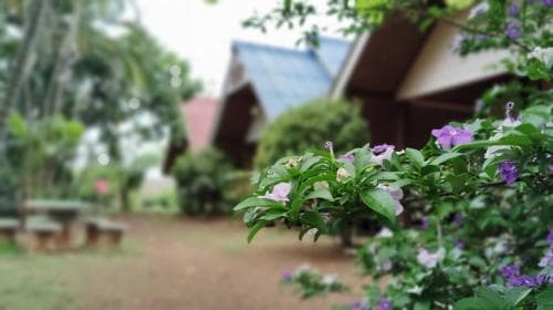 A serene tropical garden scene features vibrant purple flowers in the foreground, with rustic wooden huts and lush greenery in the background, ideal for a relaxing eco-retreat experience.
