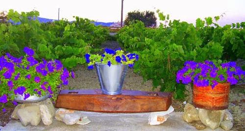 Augoustinos Villa