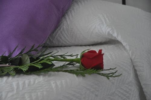 El Levante Hostal
