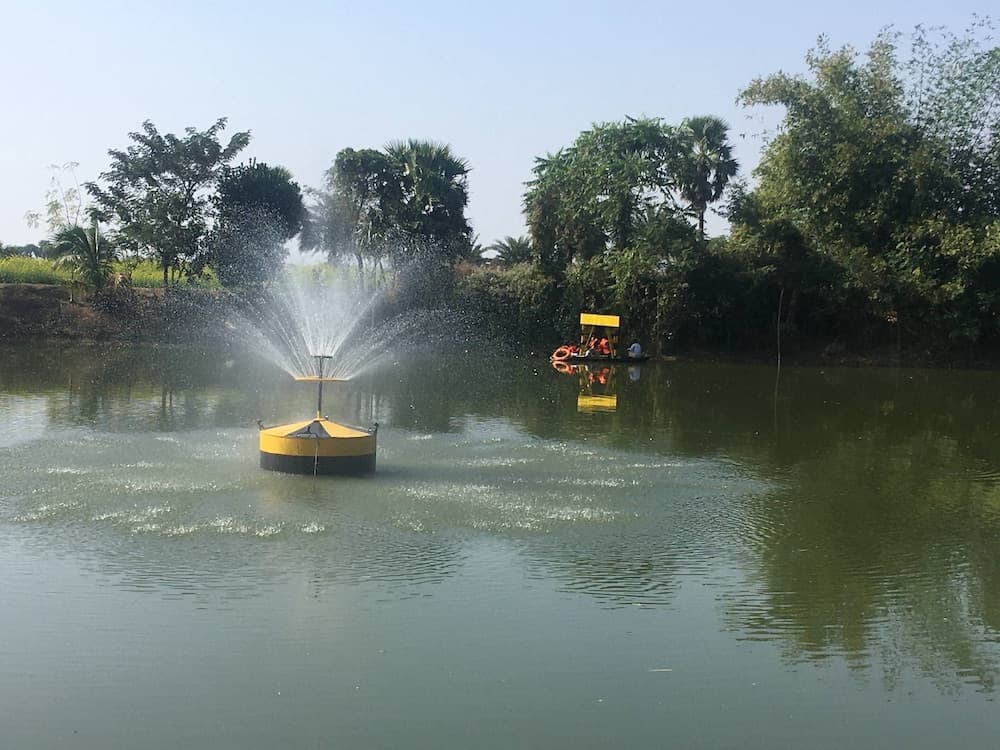 A serene rural pond features a floating water aerator spraying mist, surrounded by lush greenery, ideal for agricultural tours and eco-friendly farming demonstrations.
