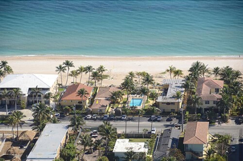 A serene coastal resort scene featuring palm trees, sandy beaches, and vibrant buildings under clear skies, ideal for tropical vacation planning.