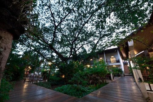 Tree House Hotel