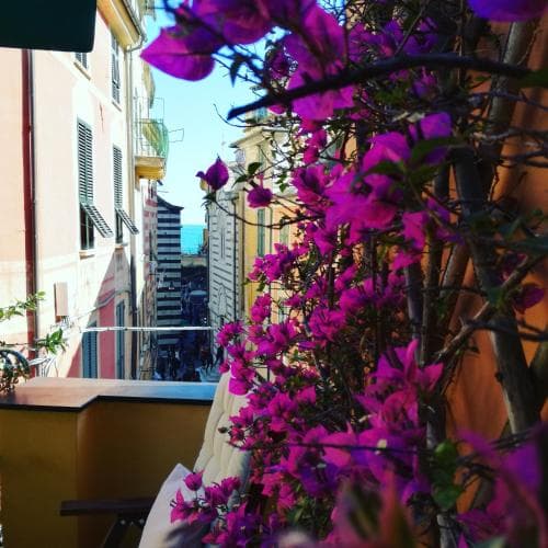 L’Antica Terrazza