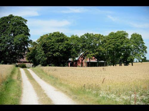 Stora Topphem