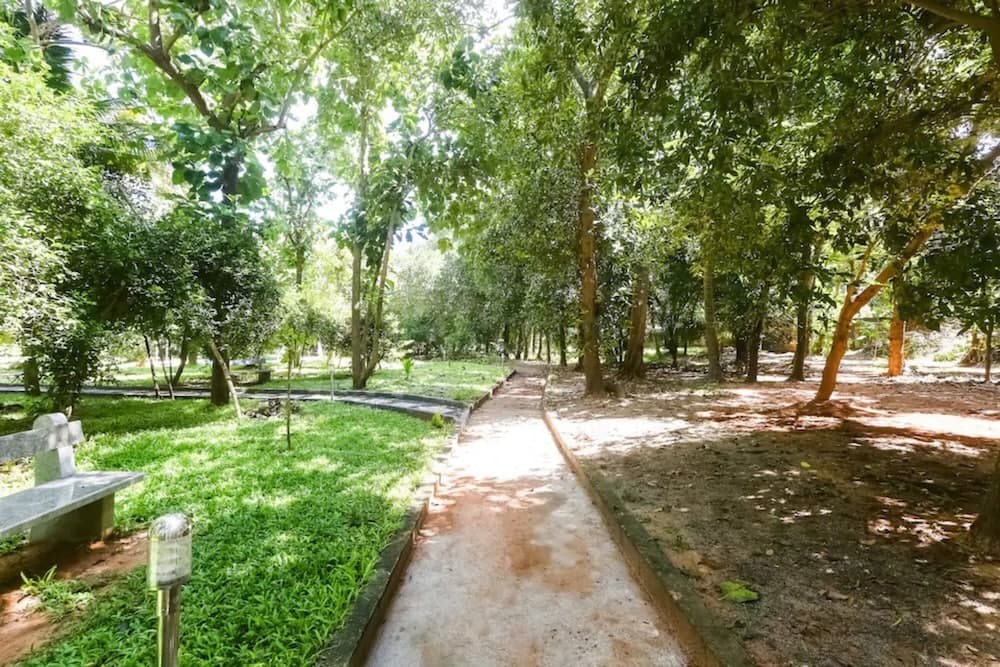 A serene park pathway lined with lush green trees and grass invites travelers to explore nature's tranquility, ideal for leisurely walks and relaxation.