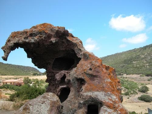 La Colbula