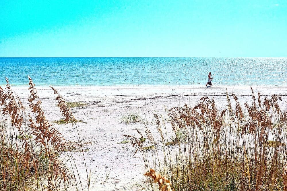 A serene beach scene framed by golden sea oats, with a lone walker enjoying the tranquil turquoise waters under a clear blue sky, perfect for a relaxing coastal getaway.