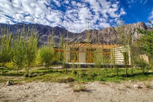 TIH Chalet Seabuckthorn - Hunder