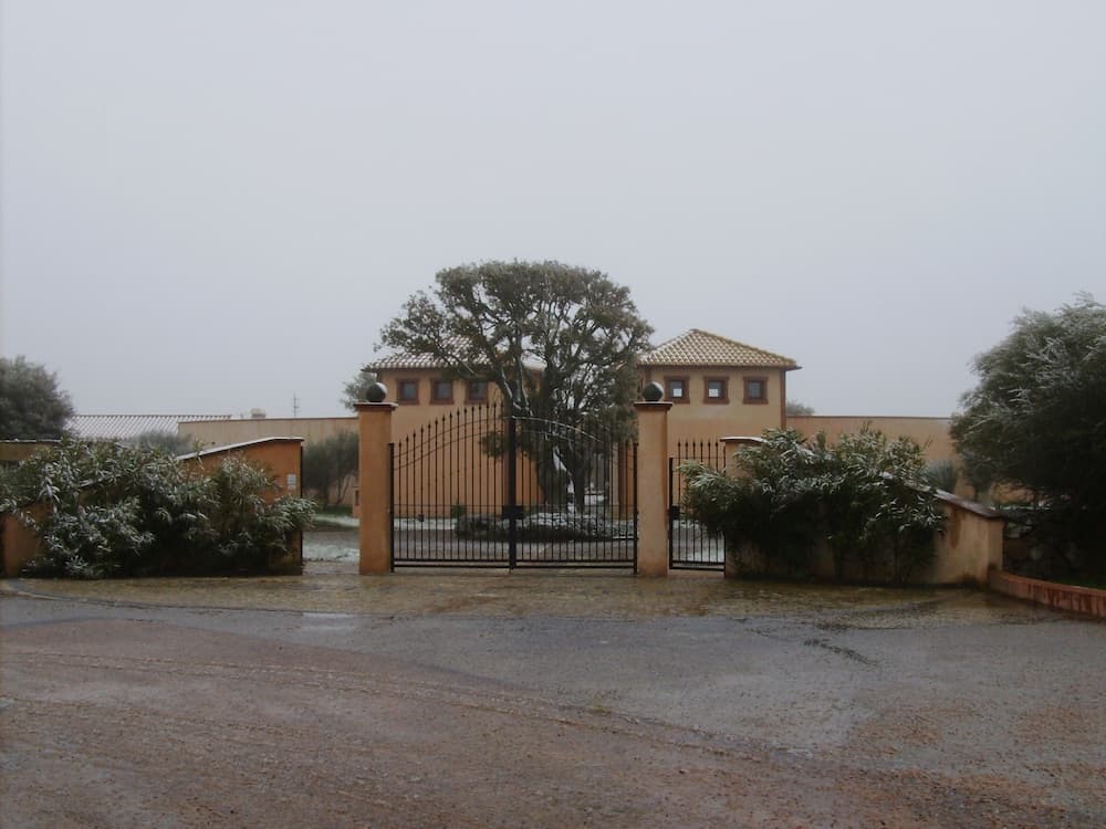 Castellinaria