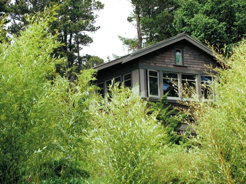 A serene coastal cabin nestled among lush greenery offers a tranquil retreat for travelers seeking a peaceful getaway in Manzanita, Oregon.