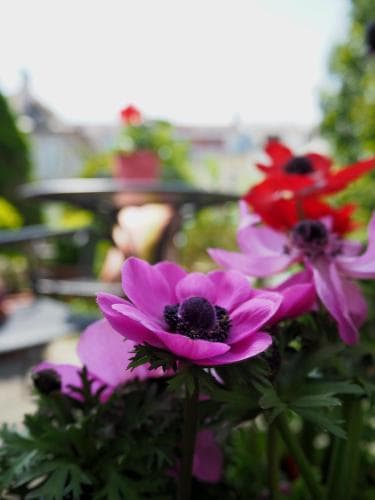 Hotel Altschwabing