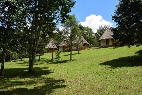 Kibale Guest Cottages