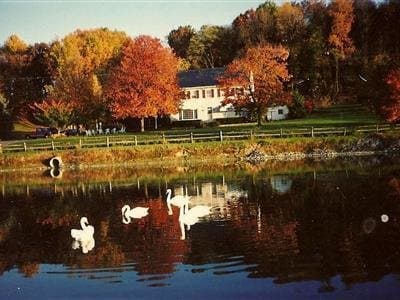 Clearview Farm B&B