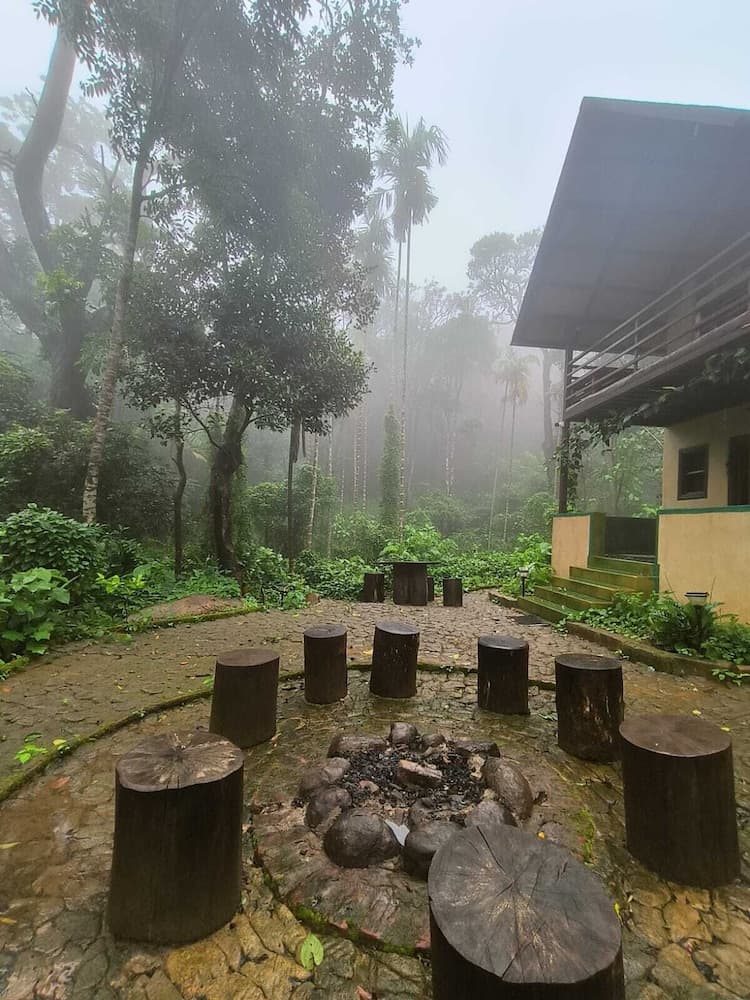 KaatiKaadu