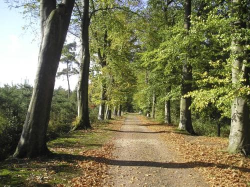 Ferienresort Bad Bentheim
