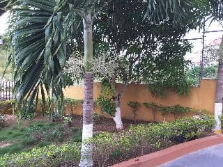 Cazwin Villas