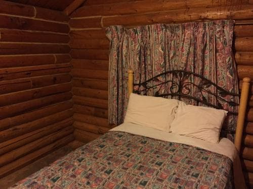 Lazy Lizard International Hostel