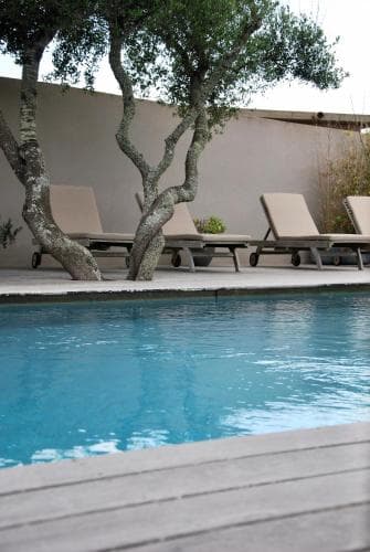 A serene poolside retreat features lounge chairs under olive trees by a minimalist wall, ideal for relaxing vacations in tranquil private settings.