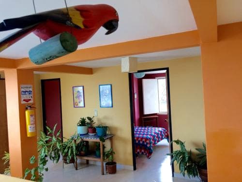Hostel Trail