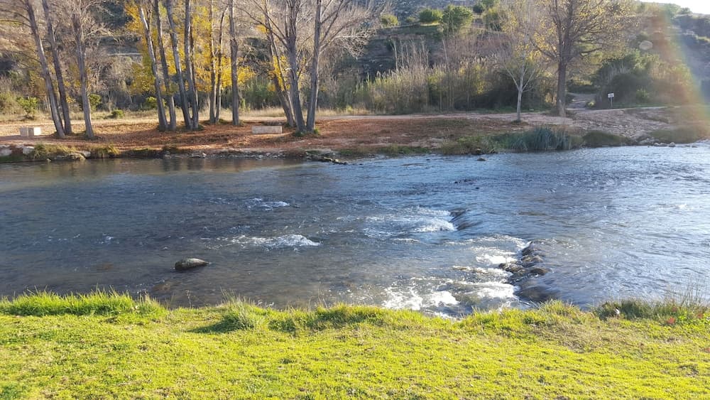 Los Cinglos