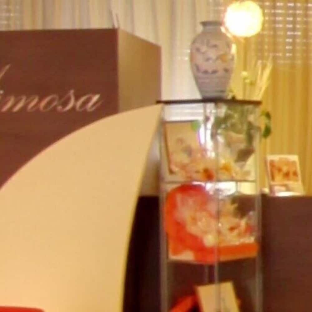 Hotel Mimosa
