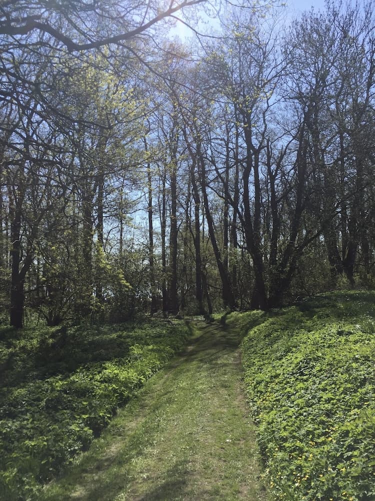 Ivögarden