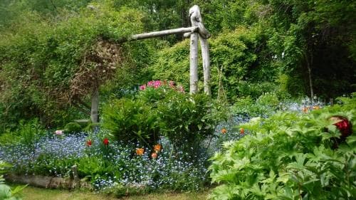 A serene garden bursting with vibrant blue and pink flowers under a rustic wooden archway, ideal for tranquil nature walks and photography enthusiasts.