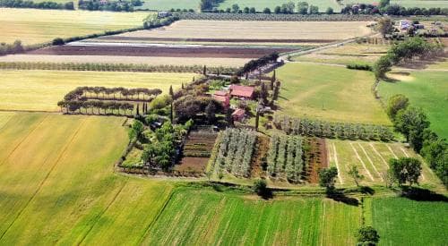 An aerial view captures a serene countryside estate surrounded by lush green fields, olive groves, and cypress trees, ideal for a tranquil agritourism getaway.