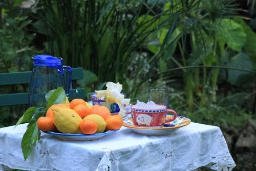 A serene garden setting features a table draped in a white cloth, adorned with vibrant citrus fruits, colorful teacups, and a blue glass pitcher, inviting travelers to enjoy a tranquil outdoor tea experience amidst lush greenery.