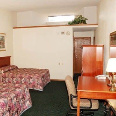 A cozy hotel room features floral-patterned beds, a wooden desk with a lamp, and a small plant on the shelf, creating a welcoming atmosphere ideal for travelers seeking comfort and functionality.