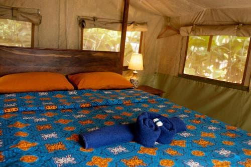 Bluemonkey Guesthouse