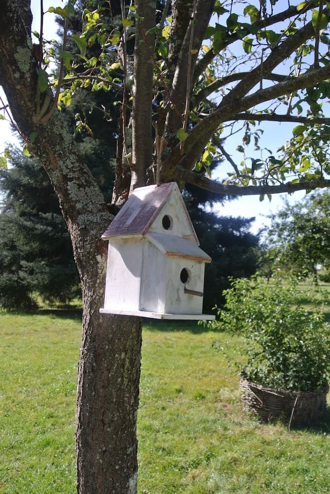 Le Moulin De Vrin