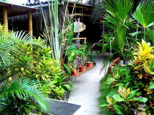 A serene tropical garden pathway lined with lush greenery and vibrant plants leads to a rustic hut, ideal for travelers seeking a peaceful retreat in nature.