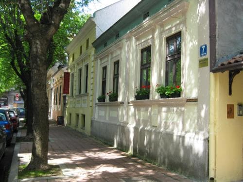 Hedonist Hostel