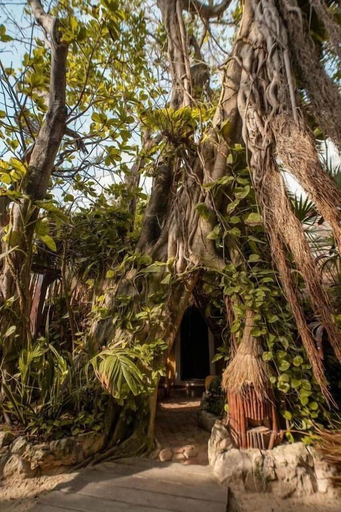 A serene tropical entrance framed by lush greenery and twisting vines invites travelers to explore a tranquil eco-lodge nestled in nature.
