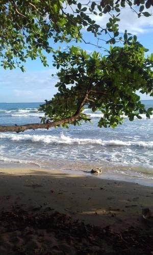 Escape CaribeÑo