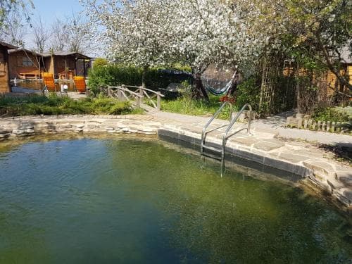 A serene outdoor natural pool surrounded by blooming trees and rustic cabins creates a tranquil retreat, ideal for eco-friendly relaxation and wellness getaways.