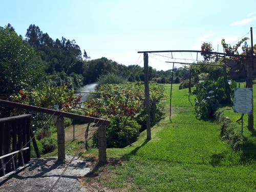 Quinta do Rio Sousa