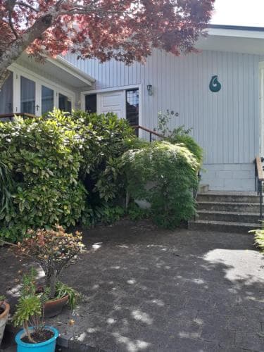 A cozy residential entrance with lush greenery, a vibrant red maple tree, and a welcoming paved pathway creates a serene suburban retreat ideal for travelers seeking a peaceful stay.