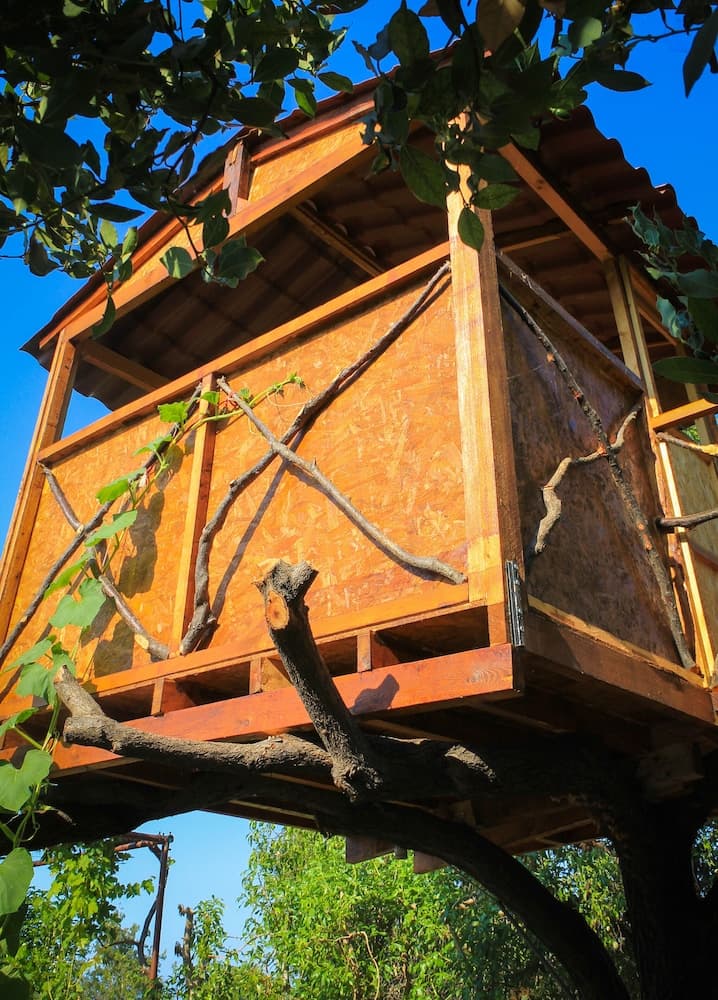A rustic wooden treehouse nestled among lush green leaves under a clear blue sky offers a serene escape, perfect for adventure seekers looking for unique accommodation experiences.